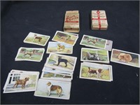 "GALLAHER" CIGARETTES DOG CARDS & BOXES