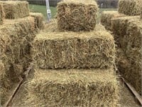 25 Square Bales of Alfalfa Grass Mix Hay