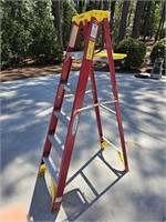 6' werner fibergrlass ladder