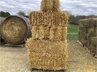 10 Square Bales of Straw