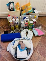 Shampoo and Cleaning Lot
