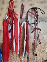 Assorted Red Horse Tack Items