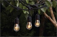 Incandescent Edison String Light