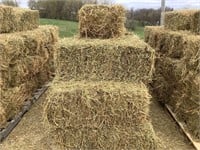 25 Square Bales of Alfalfa Grass Mix Hay
