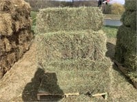 30 Square Bales of Grass
