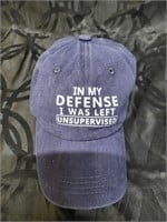 Blue Cap - In my defense I was left unsupervised