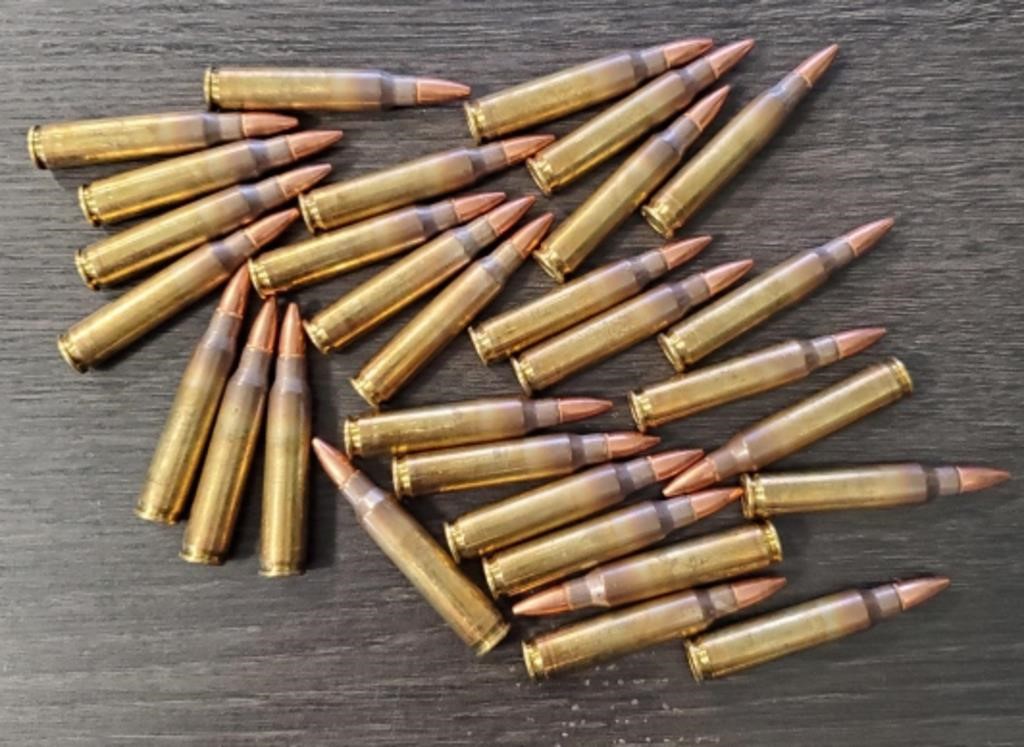 (30) Rounds of .223 Ammo