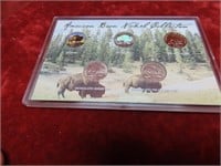 American Bison Nickel collection. US coins.