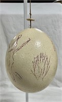 Vtg Ostrich Egg Engraved Figures