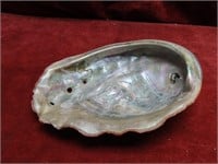 1/2 Abalone oyster shell.