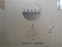 Trans Globe Chandelier light fixture.