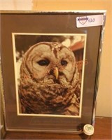 Rattlesnake rattles owl picture and bird clock