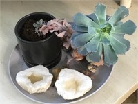 White Crystal Geode & Potted Succulent Plant