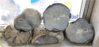 Assorted Geode And Petrified Wood Lot