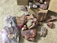 About 8 lbs Of Petrified Wood Pieces Large & Small