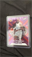 LeBron James Panini Player of the Day LA Lakers /9