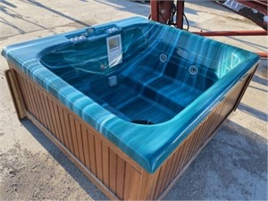 Jacuzzi Whirlpool Bath Model 9800 66x71x29