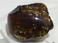 2" Chunk Million Year Old Shiny Sparkly Amber