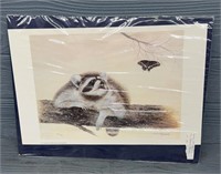 P.M Fitzpatrick "Raccoon Fascination” Print