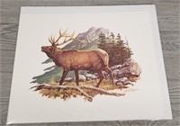 Elk Print By Louis Raymer