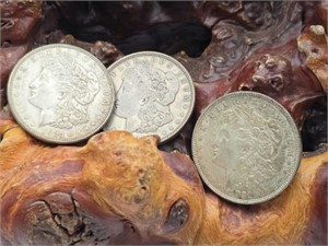 Three 1921 Morgan Silver Dollars