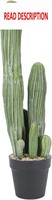 $58  24 Faux Potted Cactus for Home/Office Dcor