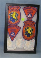 Group of vintage Nassau County police patches