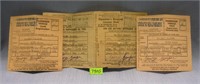 Group of three early drivers licenses