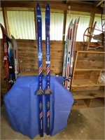 81" Fischer Europa 99 Skis