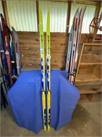 73" Fischer Classis SCS Skis