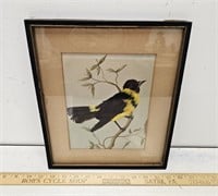 1930 "Oriole"- Designed, Mounted & Painted By Dr.