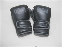 14oz Everlast Training Gloves