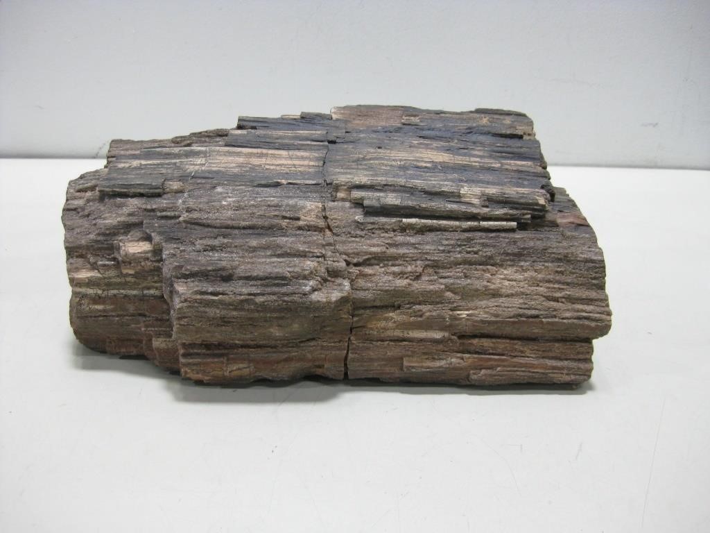 Petrified Wood 22.14 Pounds