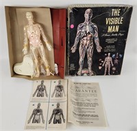 Rental Products The Visible Man Figure Scoence