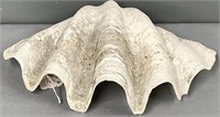 14” Clam Shell