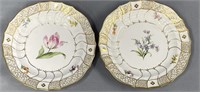 2 Antique Meissen Botanical Porcelain Plates
