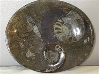 6" Carved Fossilized  Ammonite Stone Trinket Dish