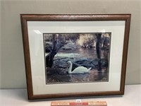 NICE FRAMED SIGNED PHOTO PRINT 22.5 X 18