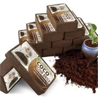 Set Of 12 Premium Coconut Coir Brick