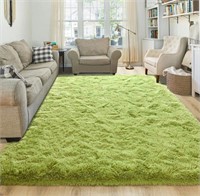 Ultra Soft Area Rugs 6x9 Feet Fluffy Carpets for