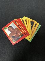 WCW WRESTLING CARDS 1991