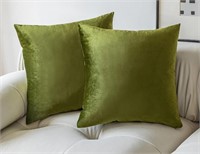 (New) (16x 16 ") ( 2 pcs) Pillow Covers Green