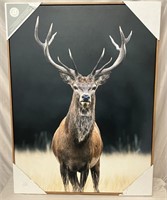 Large buck picture.