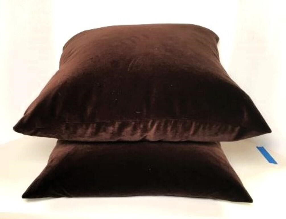 ComfyDown Throw Pillows Lot of 2