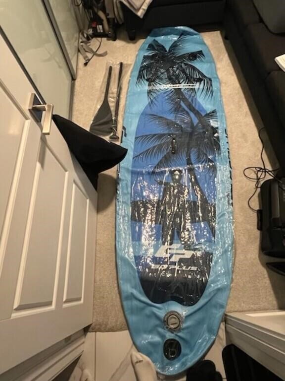 10' Paddle Board With Carrying Case