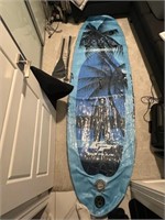 10' Paddle Board With Carrying Case