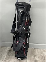 Pair of Golf Bags w/ Assorted Clubs