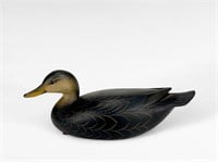 Miniature Black Duck - George Strunk