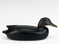 Black Duck - Charles Black