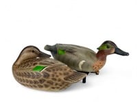 Green-winged Teal Pair - Forest Jennings